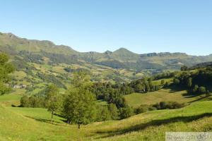 Maisons de vacances Gite 2/4 pers, Piscine-Wifi Calme, nature : photos des chambres