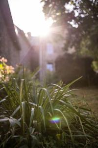 Maisons de vacances Gite bien etre et ecologique La Correspondance : photos des chambres