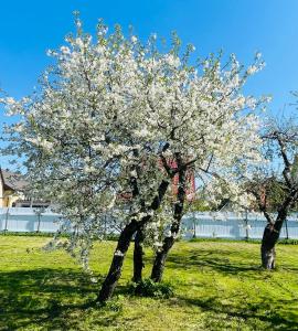 Villa Blue Heaven Pärnu