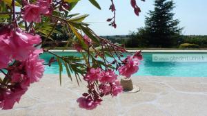 Maisons de vacances Gite 2/4 pers, Piscine-Wifi Calme, nature : Maison 2 Chambres