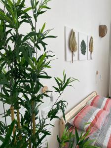 Family Studio