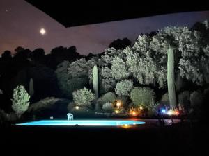 Le Grand Saint Mitre