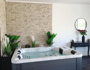 Appartements Evasion avec jacuzzi interieur : Appartement 1 Chambre