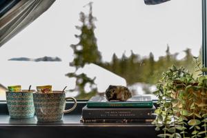 Private Room in Beautiful Mountain Home w Sauna