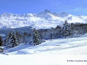 Chalets Comfortable and cosy chalet in Meribel, in the traditional village of Les Allues : photos des chambres