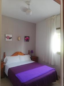 Single Room room in Hostal Los Pinares