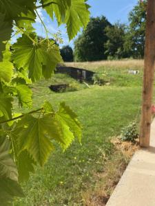Maisons de vacances Paillehouse Vosges : photos des chambres