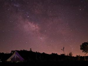 Lost Paradise - Cozy tent in Nature