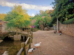 Apartamentos la buganvilla Novales