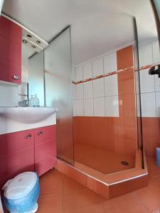 Arjana & Nelaj Apartments