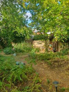 B&B / Chambres d'hotes Le Clos du Moulin Dijon, avec son jardin calme et romantique, la campagne a la ville : photos des chambres