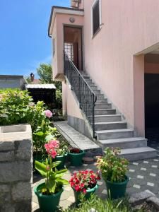 Apartment Leda 
