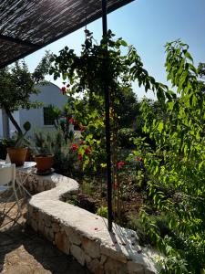 trullo Giardino Sotto La Luna