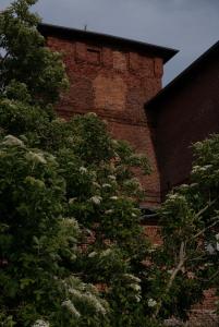 ŻAR - Gorzelnia w Żarnowcu