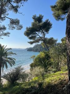 Appartements Exceptionnel studio vue mer refait a neuf : photos des chambres