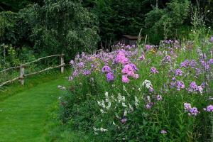 Maisons de vacances Chalet pour 2 dans le Jardin de Berchigranges : photos des chambres