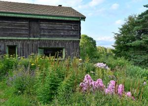 Maisons de vacances Chalet pour 2 dans le Jardin de Berchigranges : photos des chambres