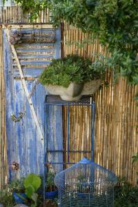 Appartements Le Jardin Yuccas - Cosy cottage in the Loir& Loire Valleys : photos des chambres