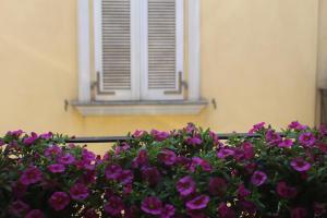 Suite al castello img55