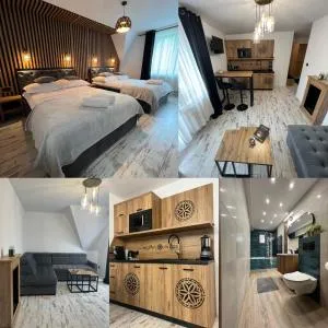 Apartament KALINA - Ostoya Twoya - Stasikówka