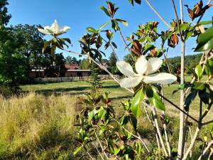 Sejours a la campagne Les Cottages du Chateau de Werde : photos des chambres