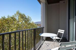 Piedmont Place Suite 402 Modern Apartment in Heart of Crozet