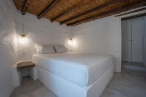 Traditional White House