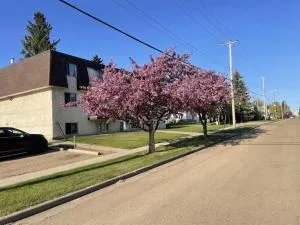 One Bedroom Main floor Apartment - Wetaskiwin