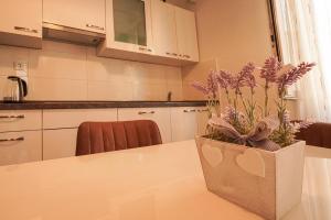 Tranquil Urban Escape