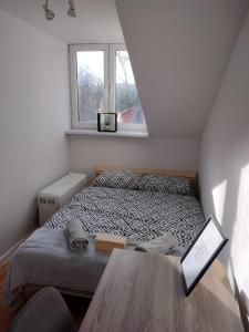 Quiet and comfy room in Krakow