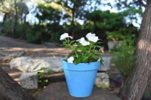 Splendida villa in riva al mare img45