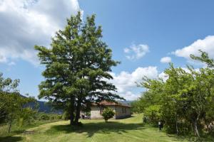 Casa da Ramada, Turismo Espaço rural.