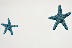 Splendida villa in riva al mare img39