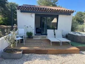 Maisonnette 32m2 climatisé avec jacuzzi au calme. - Trans-en-Provence