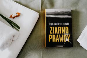 Apartament Miasto i Wisła