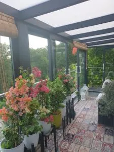 Cozy room with a beautiful garden view - Haldorf