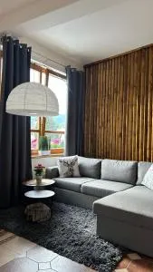 Apartmán Smrk - Ludvíkov