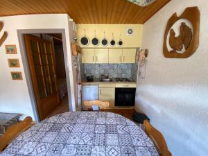 Studio proche village et domaine skiable - FR-1-692-85