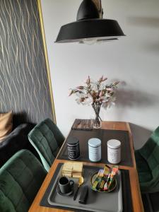 Vrnjačka Promenada - Pešačka zona - Baby friendly