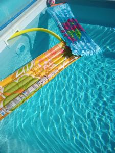 Gite Le Petit Luberon LISIANTHUS