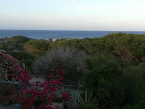 Cala Lupo bis img18