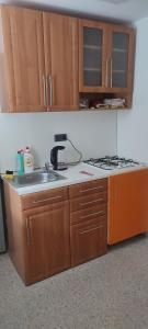 Apartmán Radim