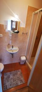 Noclegi "Marfikowe Pole"