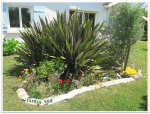 Villas Villa de charme 4*, 4 CH Bassin d'Arcachon 12 pers : photos des chambres