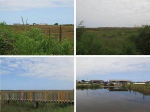 Villas Villa de charme 4*, 4 CH Bassin d'Arcachon 12 pers : photos des chambres