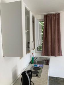 Apartment with Terrace room in Mijovic Apartments