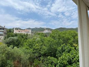 Nectarios seaside apartment.