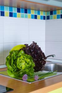 Apartments by the sea Medveja, Opatija - 7720