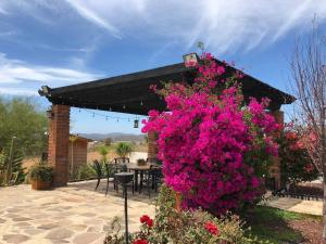 Suite Romántica Valle de Guadalupe Pool & BBQ
