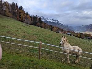 Chalets Demi-chalet de charme a Combloux : photos des chambres